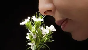 Dikkat çeken Covid-19 araştırması: Milyonlarca kişinin koku duyusu geri gelmedi