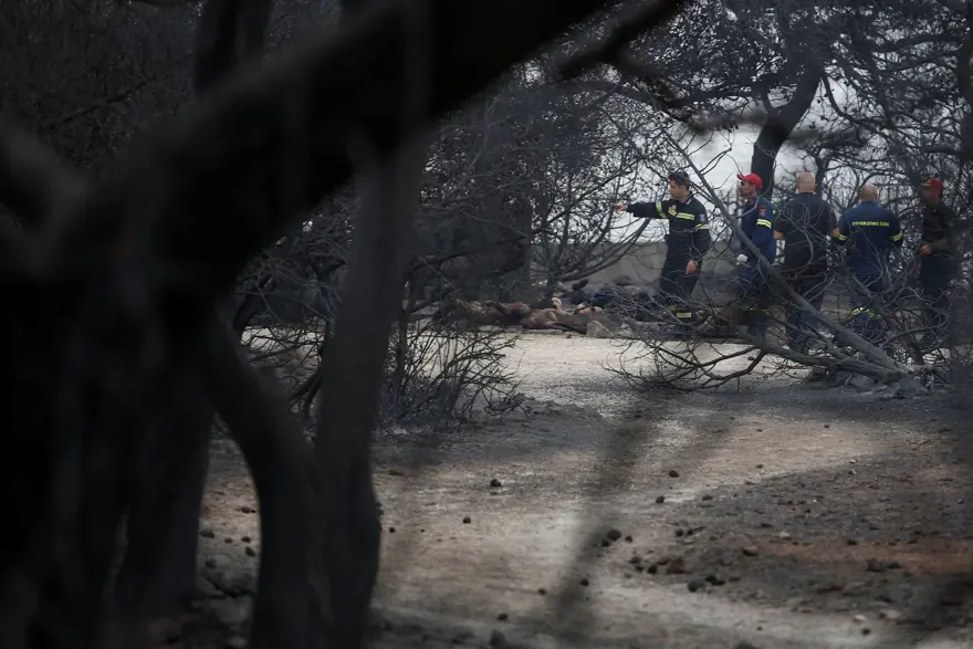Yunanistan'daki orman yangınında ölü sayısı 81'e yükseldi (180'i aşkın yaralı var) 41