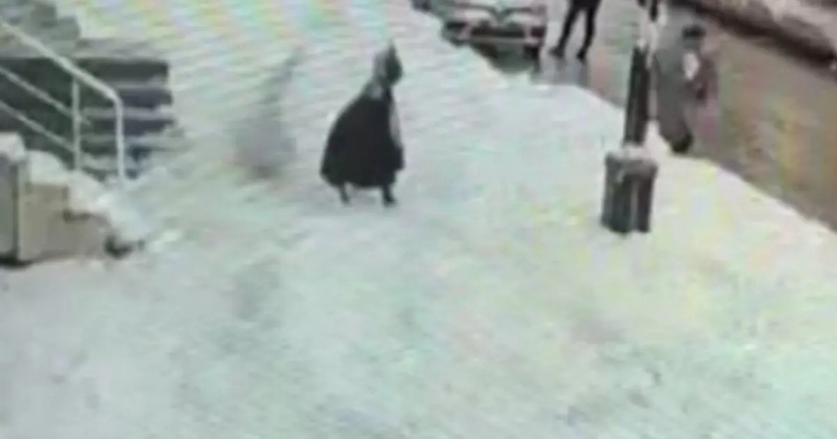 Çatıdan düşen kar yığını can aldı