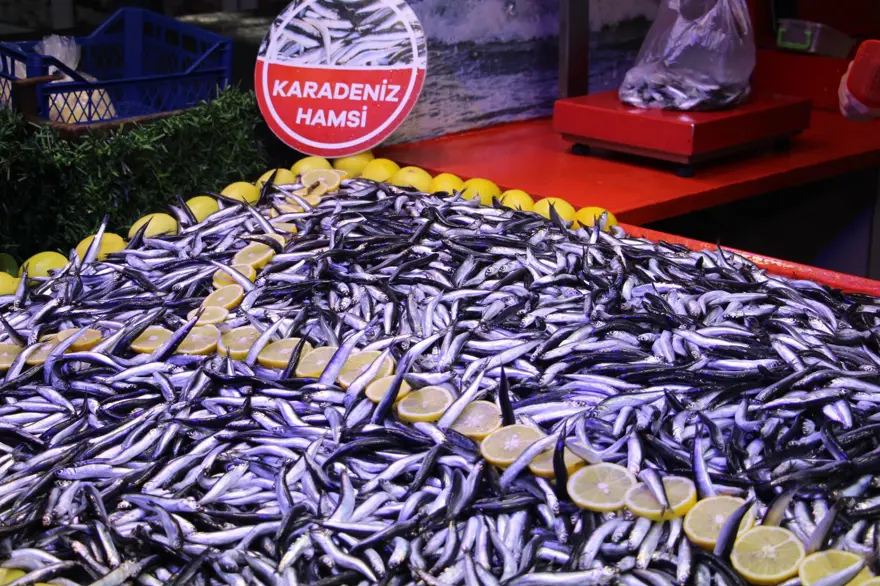 "SON 10 YILDIR BOLU'YA BÖYLE GÜZEL HAMSİ GELMEMİŞTİ" 2