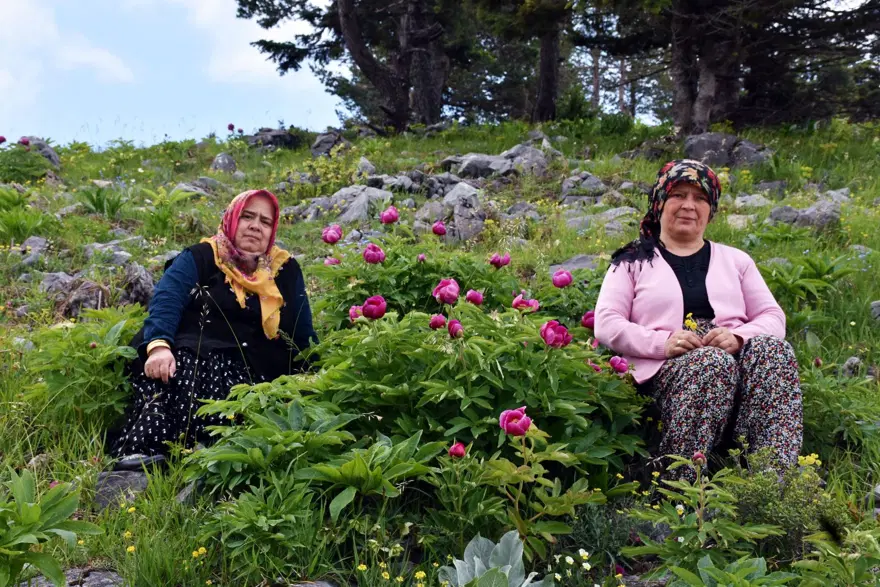 Yılda sadece 10 gün açıyor: Koparmanın cezası 557 bin TL 2 Yılda sadece 10 gün açıyor: Koparmanın cezası 557 bin TL 2