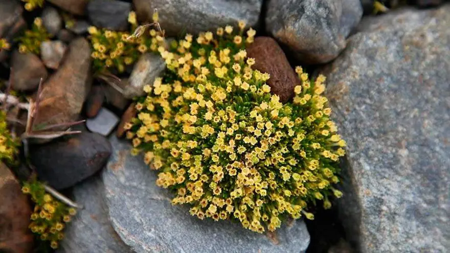 SON 10 YILDA YAZ SICAKLIKLARI HIZLA YÜKSELDİ 2