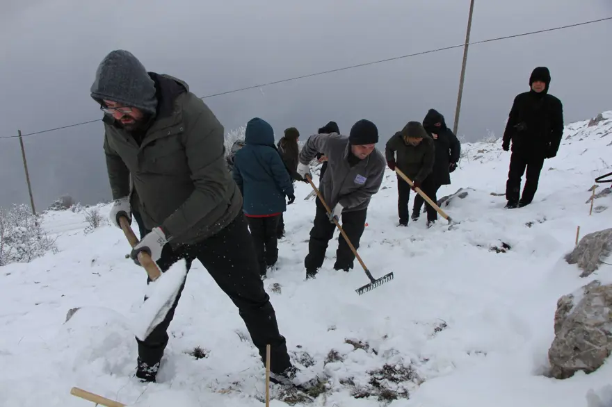Anadolu'da varlığı sona ermişti! Avrupa'dan Amasya'ya getirildi: Türk uzmanlar 30 yıldır peşinde 2