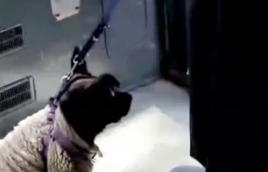 SORUŞTURMA BAŞLATILDI 2 SORUŞTURMA BAŞLATILDI 2