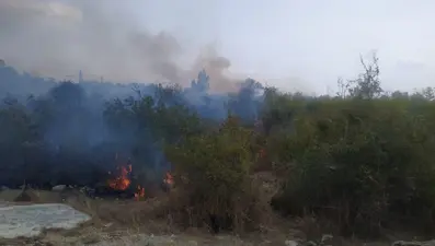 Osmaniye'de makilik yangını söndürüldü