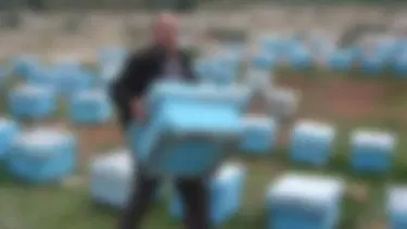 Arıların soktuğu kovan hırsızlığı şüphelisi öldü