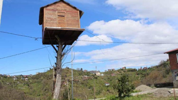7 metre yüksekliğe ağaç ev yaptı