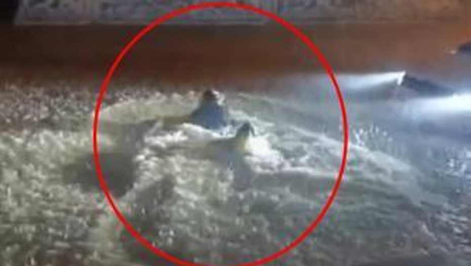 Sağanakta göle dönen sokakta böyle yüzdü
