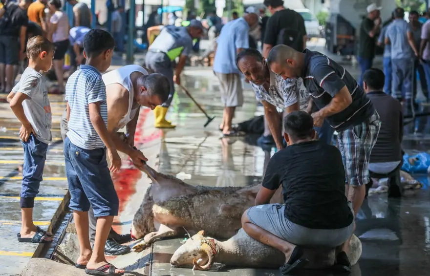Kurban keserken dikkat! Cezalar el yakıyor 8