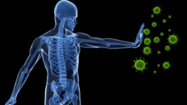 Kansere karşı bağışıklık sistemini uyaran enzim bulundu