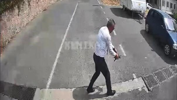Otobüs şoföründen duyarlı davranış. Kaplumbağayı ezilmekten kurtardı