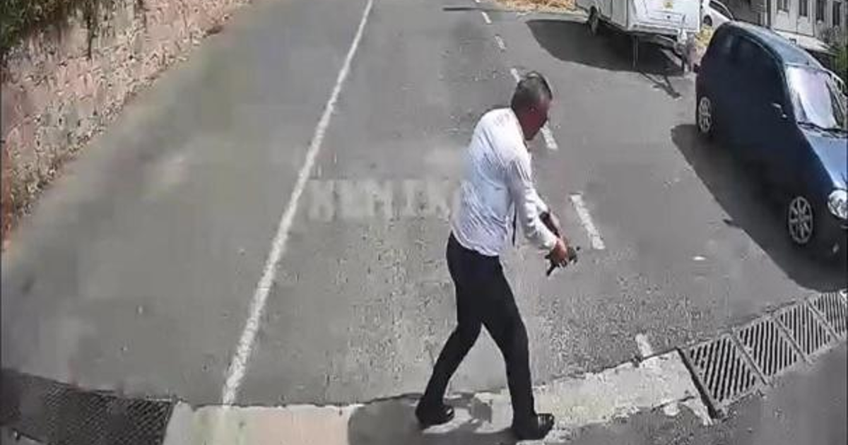 Otobüs şoföründen duyarlı davranış. Kaplumbağayı ezilmekten kurtardı