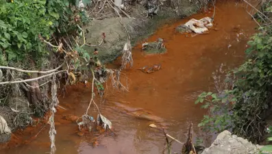 Ceyhan Nehri'nde korkutan görüntü: Drenaj kanallarının kirlilikten rengi değişti