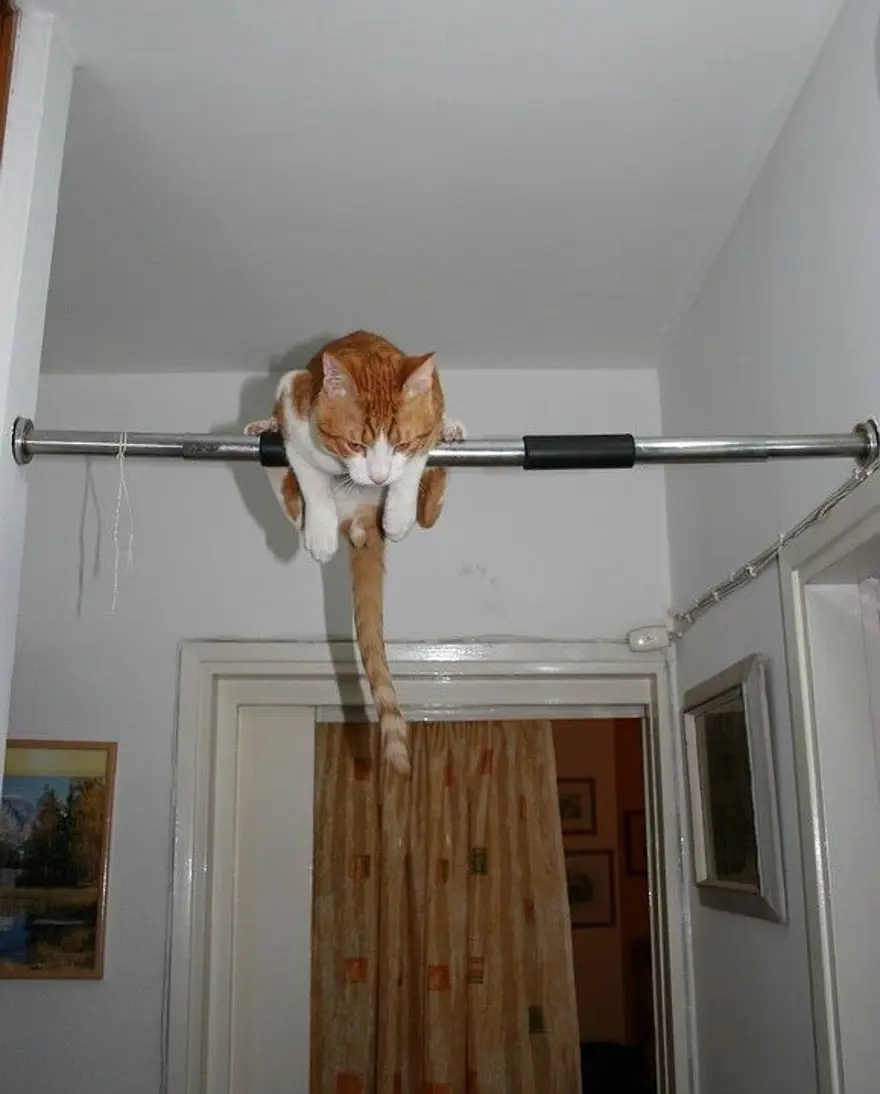 İnternetin yeni fenomenleri 23