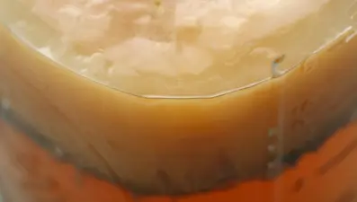 Mide bulantısı mı yaşıyorsunuz? Atıştırabileceğiniz 6 bağırsak dostu yiyecek