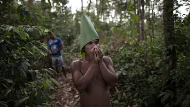 Hükümetler değişti, Brezilya ve Kolombiya'da ağaç kaybı azaldı