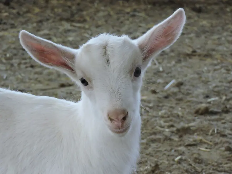 OYUNUN KURALLARINI DEĞİŞTİRECEK GELİŞME 6 OYUNUN KURALLARINI DEĞİŞTİRECEK GELİŞME 6