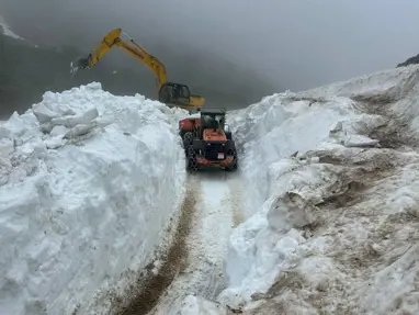 Doğu Anadolu&#x27;da yağan kar 5 ili etkisi altına aldı