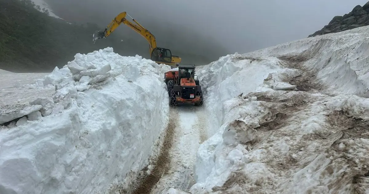 Doğu Anadolu'da yağan kar 5 ili etkisi altına aldı