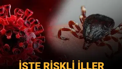 Kene kabusu can almaya devam ediyor: Sivas'ta bir ölüm daha