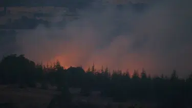 Kırklareli'ndeki orman yangını kontrol altında