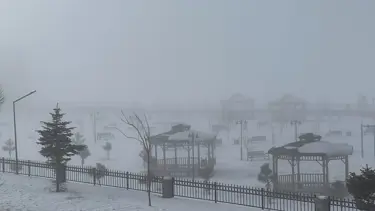 Bitlis Tatvan'da sis