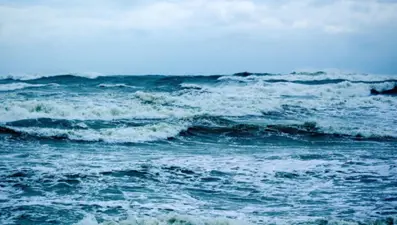 Ağır makineler Pasifik tabanını deldi. Madencilik testlerinin yıkıcı etkileri açığa çıktı