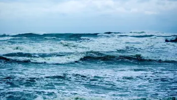 Ağır makineler Pasifik tabanını deldi. Madencilik testlerinin yıkıcı etkileri açığa çıktı