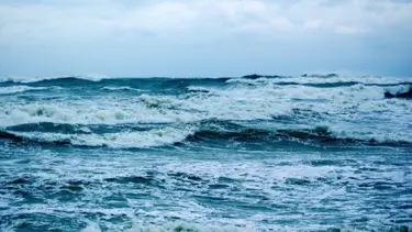 Ağır makineler Pasifik tabanını deldi. Madencilik testlerinin yıkıcı etkileri açığa çıktı