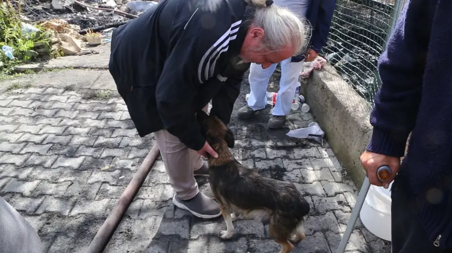Enkaz başında nöbet (5 yavrusunu kaybetti) 