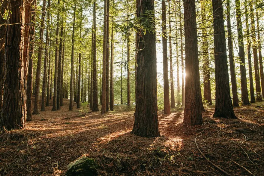 Kendisini eklem ağrısı ve yorgunlukla ele veriyor! Erken fark edilmezse felç bile bırakabiliyor 2