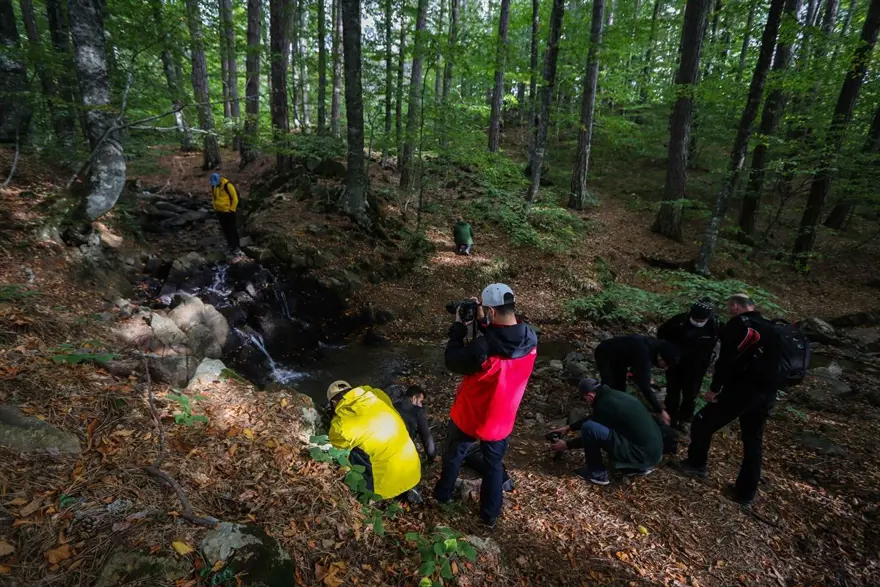 Doğa ve fotoğraf tutkunları, sonbahar renklerine bürünen Domaniç'te buluştu 8