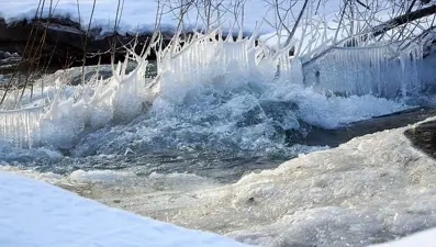 Kanada'da "donan yağmur" alarmı