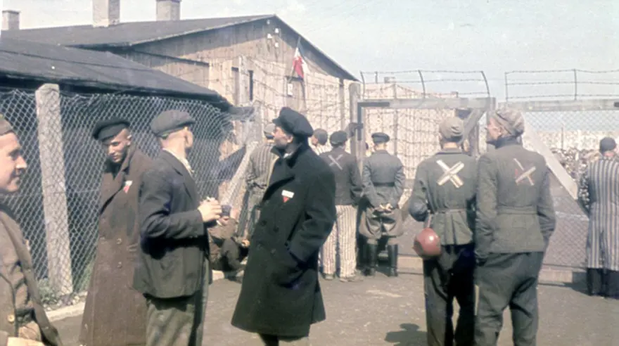 ÇARPI İŞARETİ 8