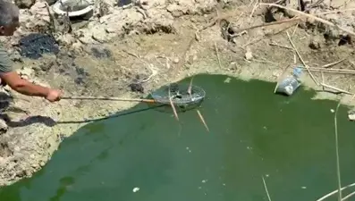 Sıcaktan sazlıklar kurudu: Balıklar telef olmaktan kurtarıldı