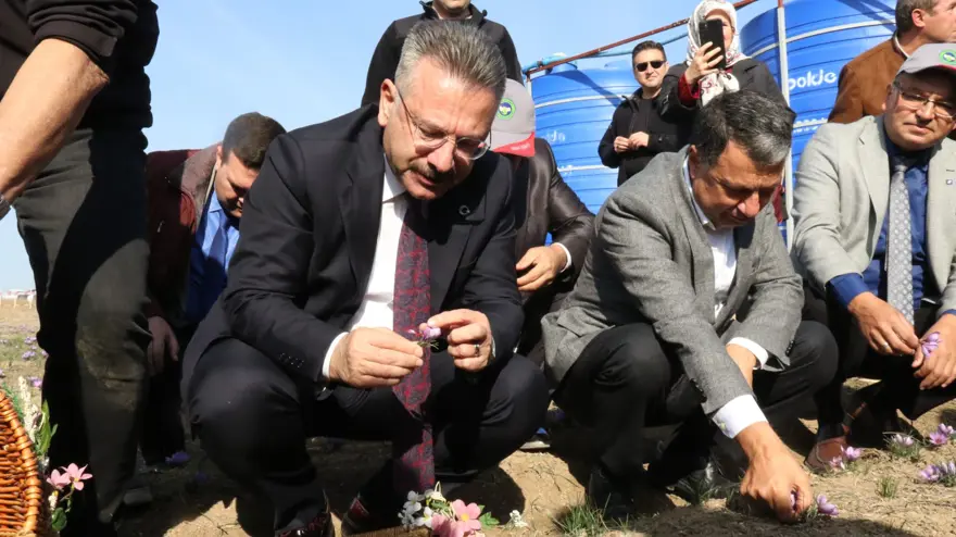 Kilosu 250 bin liradan başlıyor! Kanserden kalp hastalıklarına kadar derman olmadığı dert yok: Köylüler tek tek elleriyle topluyor 3