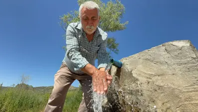 Yer altından kendiliğinden çıkıyor: Cilt yaralarına iyi geliyor