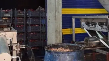 Nar ekşisi imalathanesinde skandal görüntüler: İşletme kapatıldı, ürümle rimha edildi