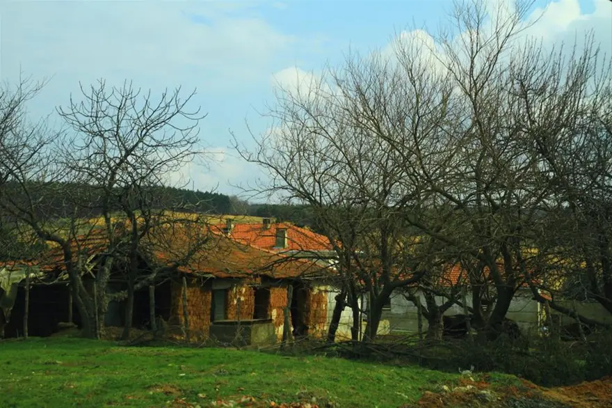 Ağaçlıköy 20