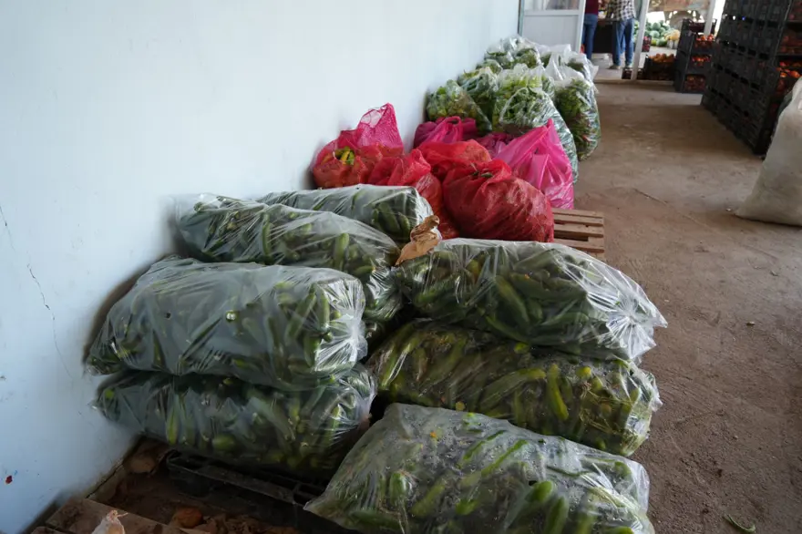 Doğu'nun Çukurova'sı olarak biliniyor, çevre illere satılıyor! Lezzeti bereketli topraklarda gizli 