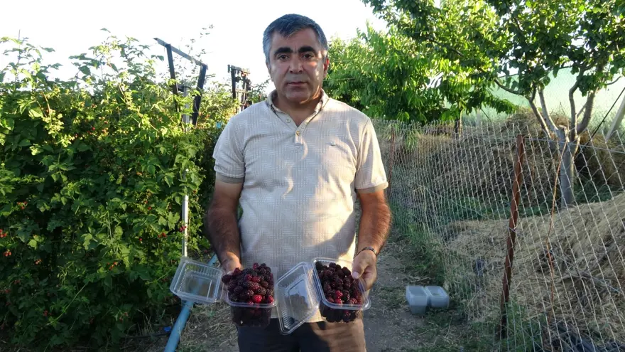 3 yıl önce hobi olarak başladı şimdi paraya para demiyor! Kilosu 150 liradan satılıyor, bahçenin önünde kuyruk oluyor 9