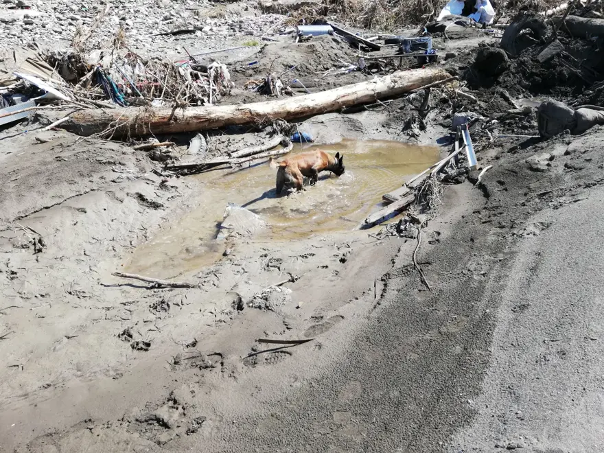 Kadavra köpekleri su altında sekiz ceset buldu 1