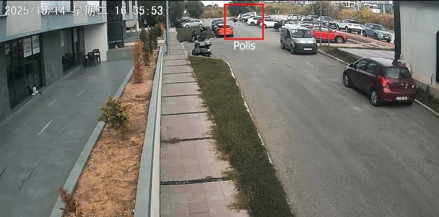 Tomografide şok eden görüntü: Midesinden çıkarıldı 2