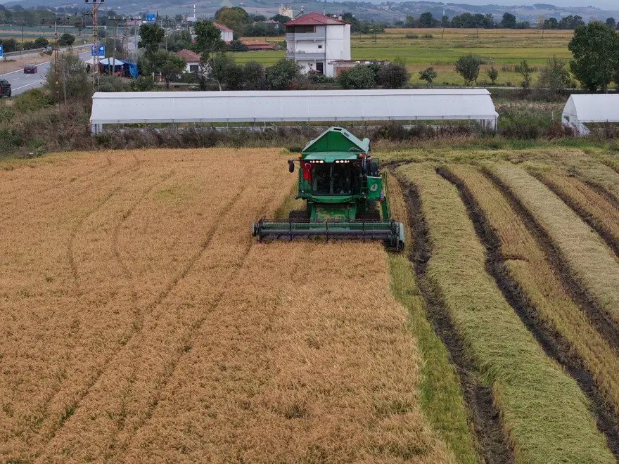 Türkiye’nin en verimli tarım ovalarından biri: Çeltik hasadı başladı 4 Türkiye’nin en verimli tarım ovalarından biri: Çeltik hasadı başladı 4