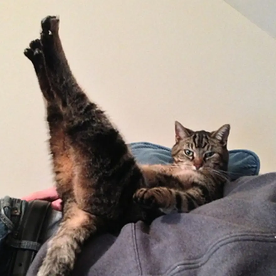 Poz verme sanatı 33