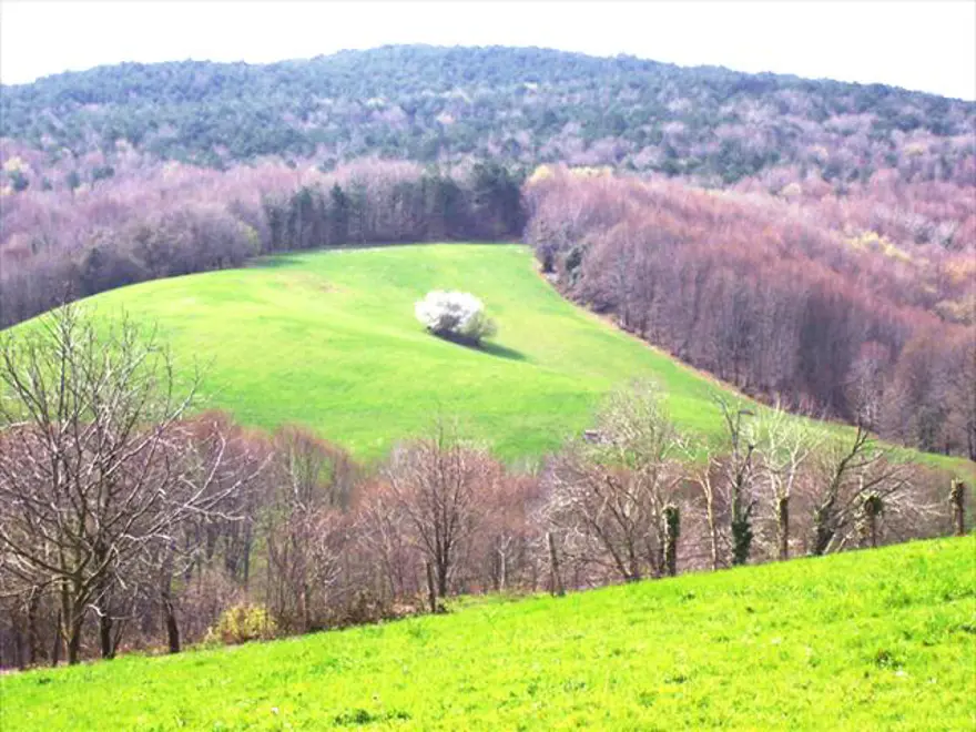 İstanbul'un kaçamak yerleri 18
