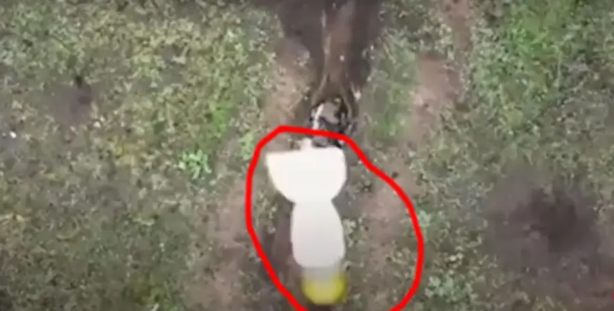 Rus askeri Ukrayna İHA'sından atılan bombaları eliyle etkisiz hale getirdi 