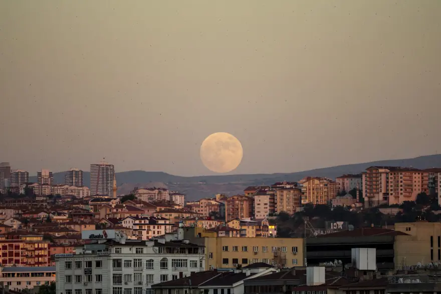 ANKARA 7