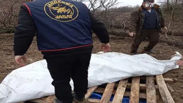 "Traktörüm çalındı" dedi, gerçek bambaşka çıktı