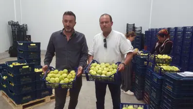 Tanesi 20 TL'den ihraç ediliyor: Mersinli çiftçinin yüzü güldü